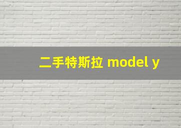 二手特斯拉 model y